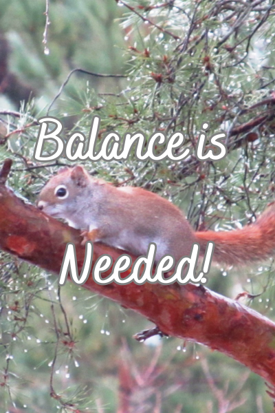 Balance is Needed