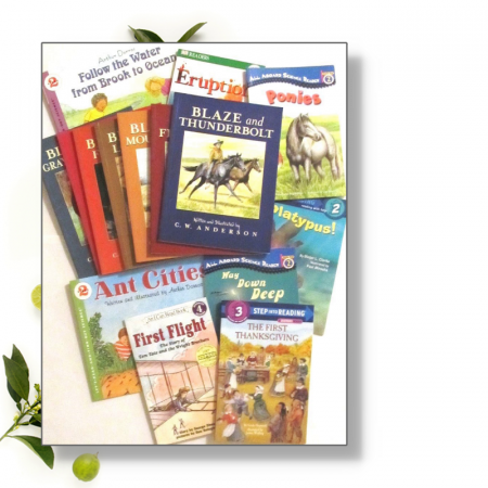 Step 4 (Grade 2) Literature Bundle and Individual Books | Peppermint ...