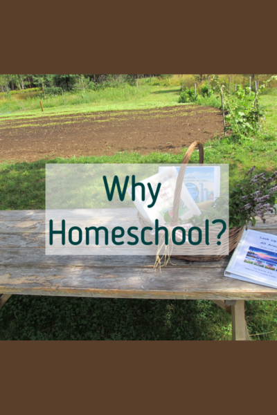 Why Homeschool