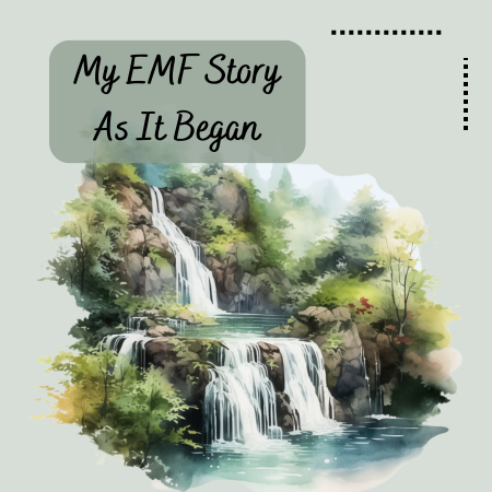 My EMF Story as it began