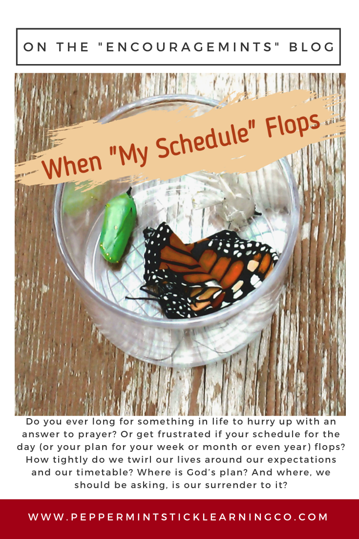 Pinnable Graphic When My Schedule Flops