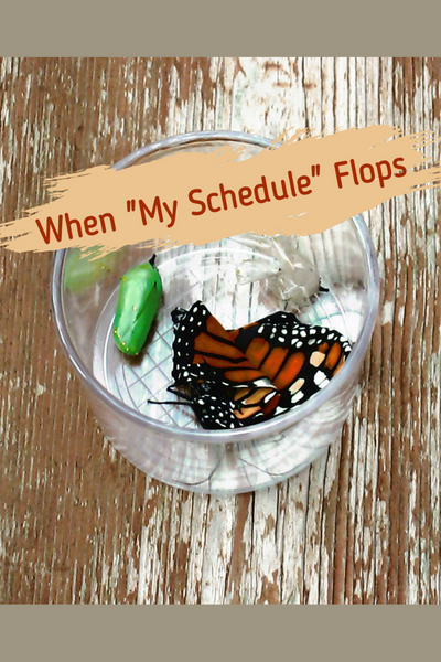 Disappointed or when my schedule flops