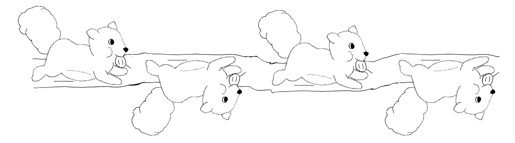 squirrels scrambling