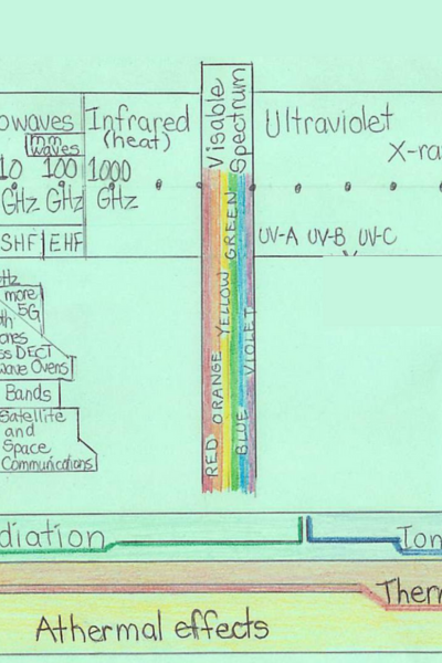Visible Light and Infrared Sections
