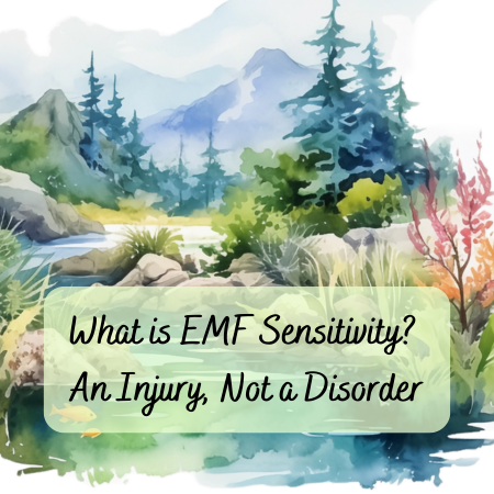 What is EMF Sensitivity?