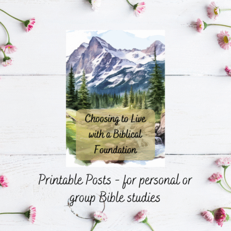 Choosing to Live with a Biblical Foundation (series)