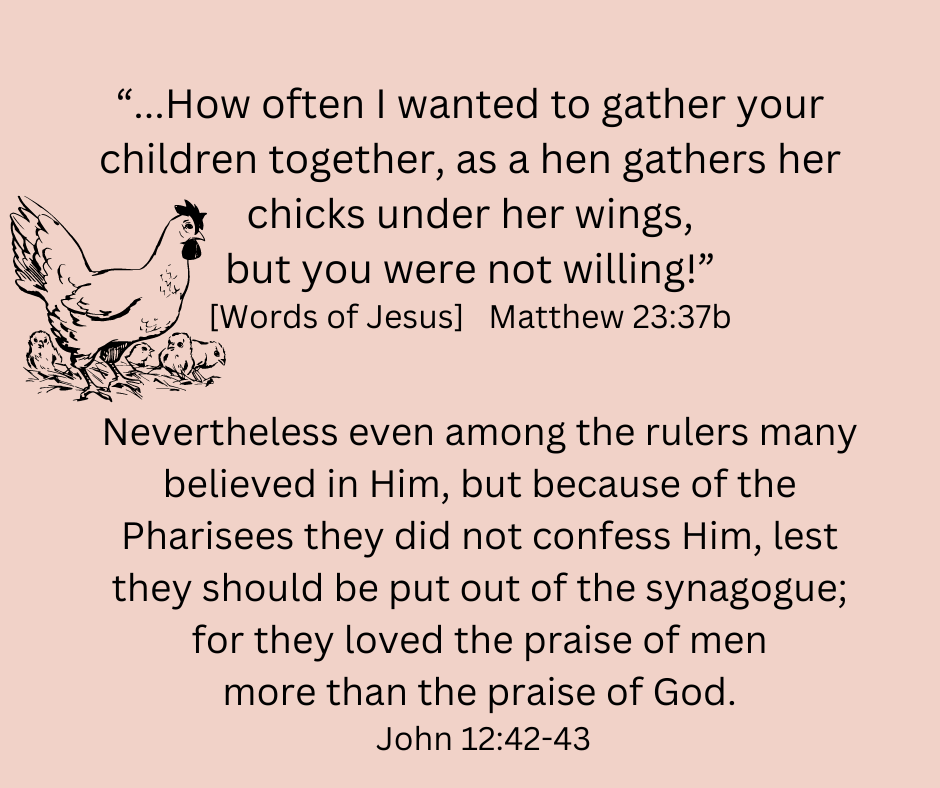 like a hen  with chicks