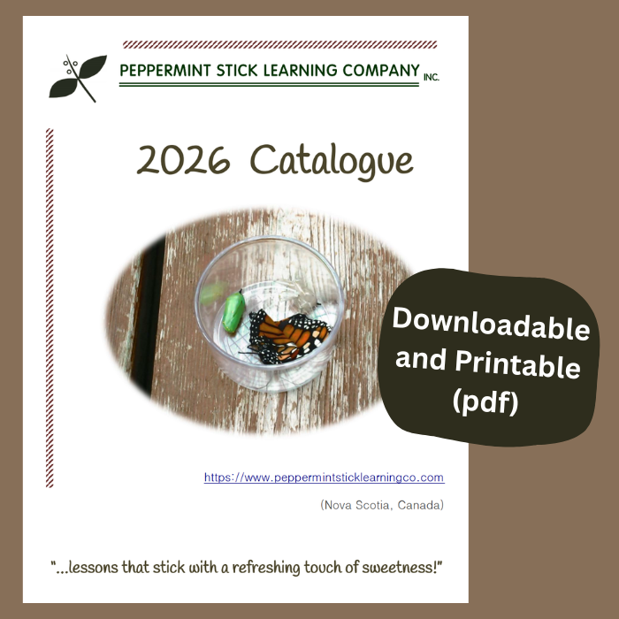 2026 Catalogue button
