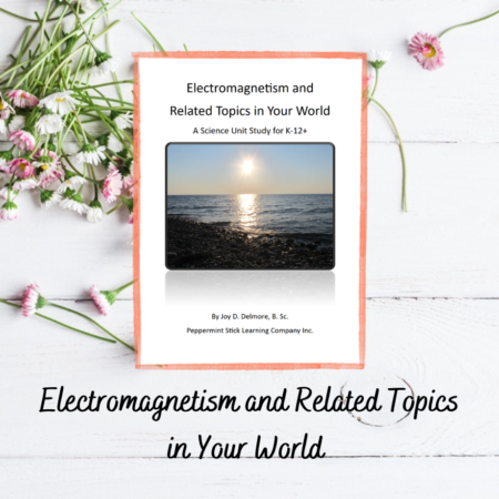Electromagnetism and Related Topics in Your World