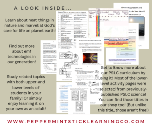 FB ad for electromagnetism ebook