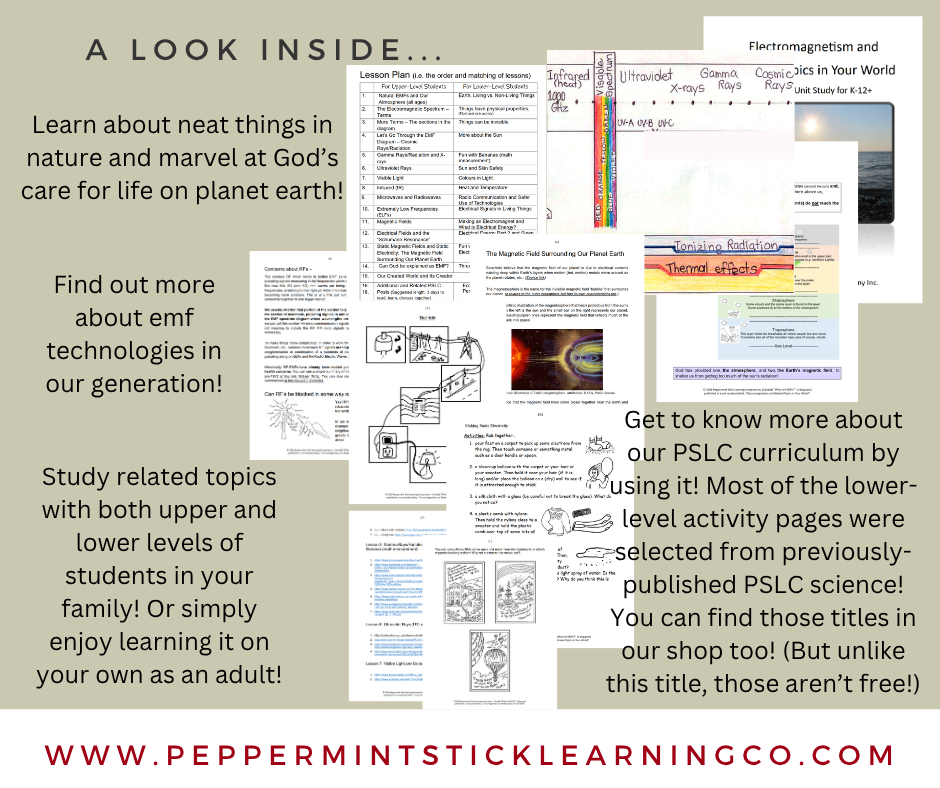 FB ad for electromagnetism ebook