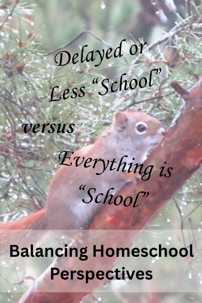 Balancing Homeschool Perspectives: Delayed or Less School versus Everything is School