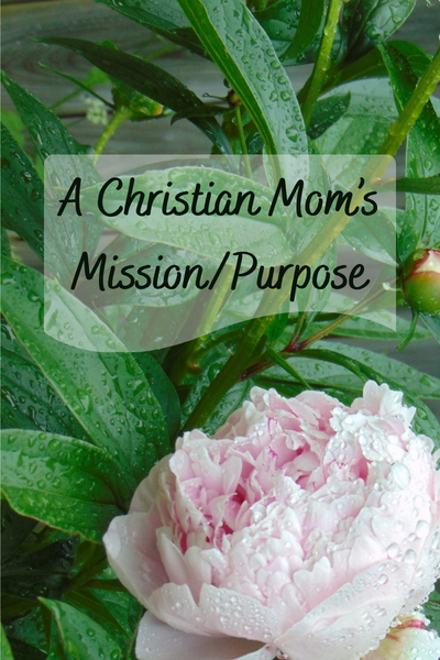 A Christian Mom's Mission or Purpose